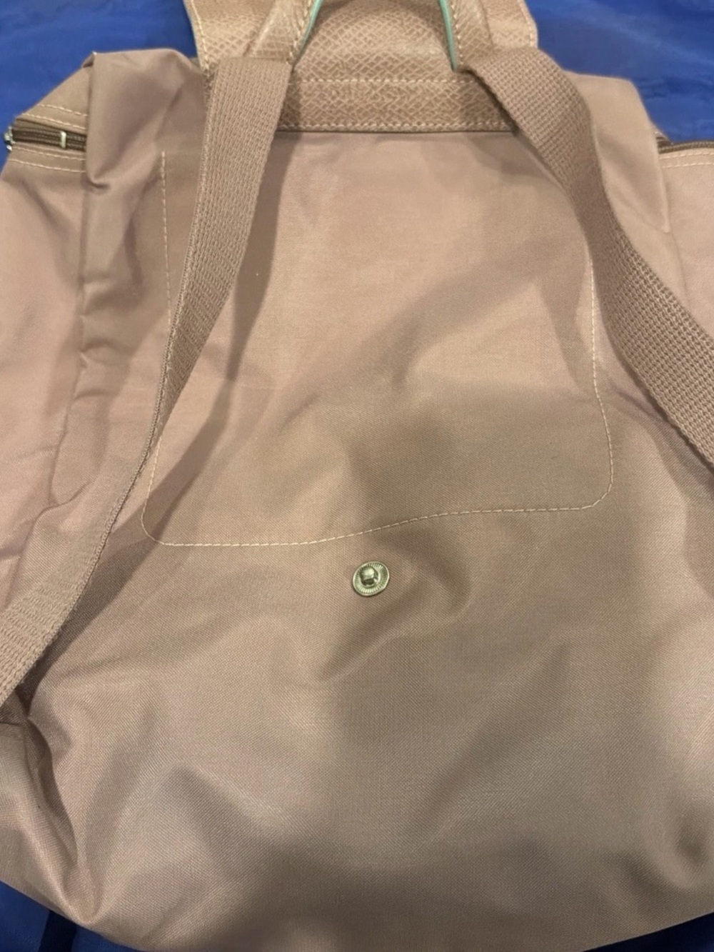 Longchamp Taupe Nylon Backpack with Mint Logo Accent - Picture 2 of 3